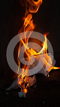 Inferno Unleashed: The Devouring Flames Consuming Everything Nearby