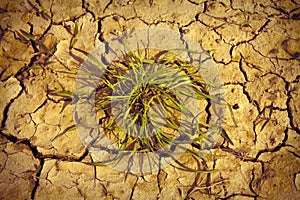Infertile land burned by the sun: famine and poverty concept image