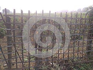 Infian farm gate