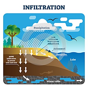 Infiltration vector illustration. Labeled natural precipitation water clean