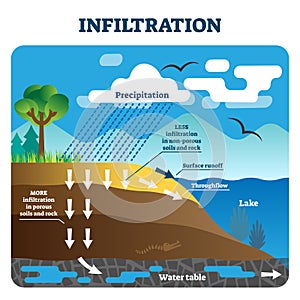 Infiltration vector illustration. Labeled natural precipitation water clean photo