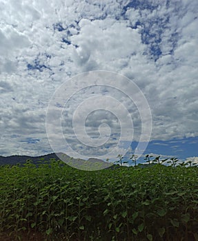 An infine coltivated field with white clouds and far mountains