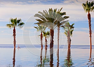 Infinity edge swimming pool