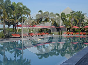 Infinity Pool at a Central Florida Resort