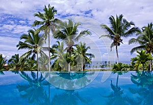 Infinity Pool with Coconut Trees