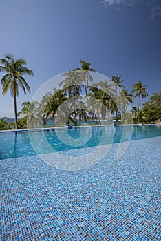 An infinity pool among palms on the beach photo
