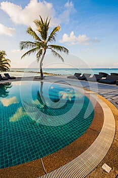 Infinity pool with sea views and palm trees