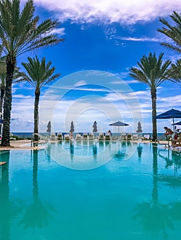 Infinity Pool Surrounded By Palm Trees