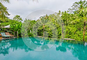 Infinity pool at tropical resort in Asia with view to the jungle in holidays travel and tourism concept