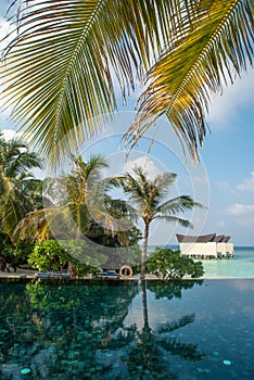 Infinity pool vertical landscape with ocean and tropical beach view