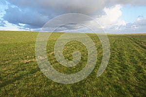 Infinity sky and meadow horizon