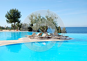 Infinity swimming pool with olive tree