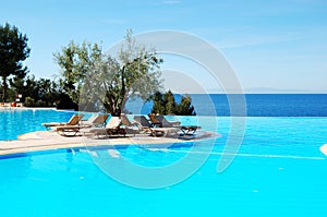 Infinity swimming pool with olive tree in the middle