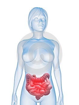 Inflamed intestines