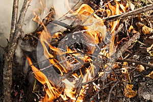Inflaming the fire. Fire. The fire in the forest. Burning branches