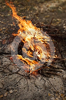 Inflaming the fire. Fire. The fire in the forest. Burning branches