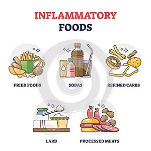 Inflammatory foods with unhealthy daily eating habits outline collection set