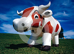 Inflatable cow