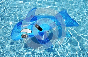 Inflatable dolphin on blue swimming pool