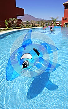Inflatable dolphin on blue swimming pool