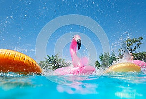 Inflatable flamingo and doughnuts buoys in pool
