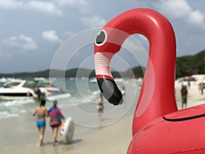 Inflatable flamingo at Koh Samet island