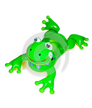 Inflatable Frog Pool Toy