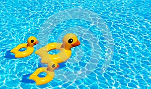 Inflatable mom duck with two baby ducklings swim in pool