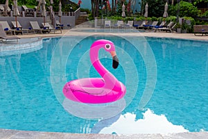 Inflatable pink flamingo in swimming pool. Summer vacation.