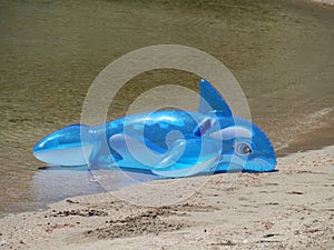 An inflatable toy dolphin