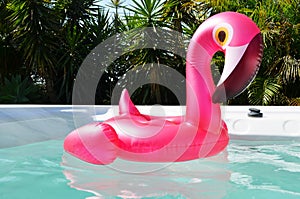 Inflatable toy in swim spa pool photo