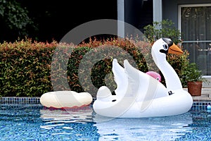 Inflatable white swan plastic toys floating on blue water in the swimming pool, relaxation and fun on summer vacation