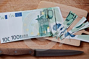 Inflation, depreciation money, concept. Bankruptcy or financial ruin and poverty. Euro banknotes cut into small pieces