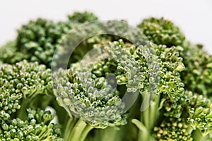 Inflorescence of green broccoli close, selective focus