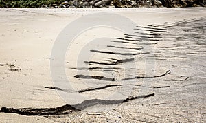 Inflow of fresh water into ocean on sandy beach. photo