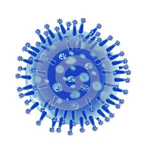 Influenza flu virus structure