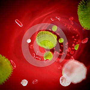 Influenza invading the body