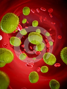 Influenza invading the body