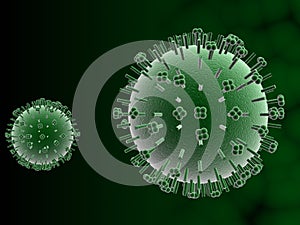 Influenza virus