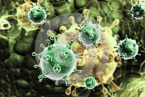Influenza virus photo