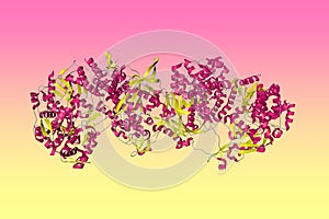 Influenza A virus H7N9 polymerase apo-protein dimer complex. Ribbons diagram in secondary structure coloring