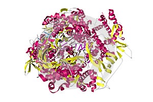 Influenza A virus H7N9 polymerase elongation complex. Ribbons diagram in secondary structure coloring. 3d illustration photo