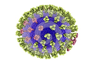 Influenza virus illustration