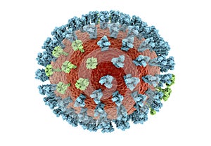 Influenza virus illustration