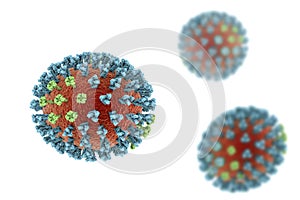 Influenza virus illustration