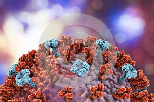 Influenza virus illustration