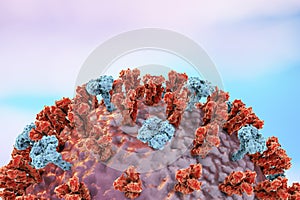 Influenza virus illustration