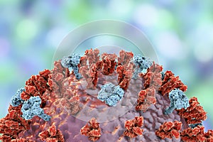 Influenza virus illustration