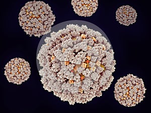 Influenza viruses photo