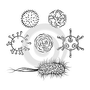 Influenza viruses and E coli Bacteria photo